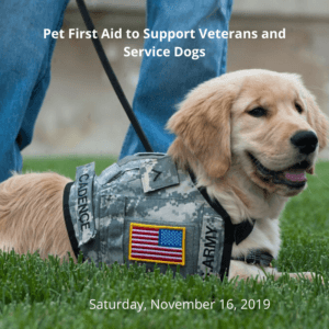 Pet First Aid to Support Veterans and Service Dogs