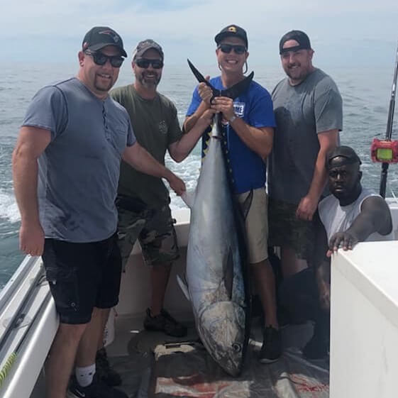 Support the Warrior Reset Support the Warrior Reset