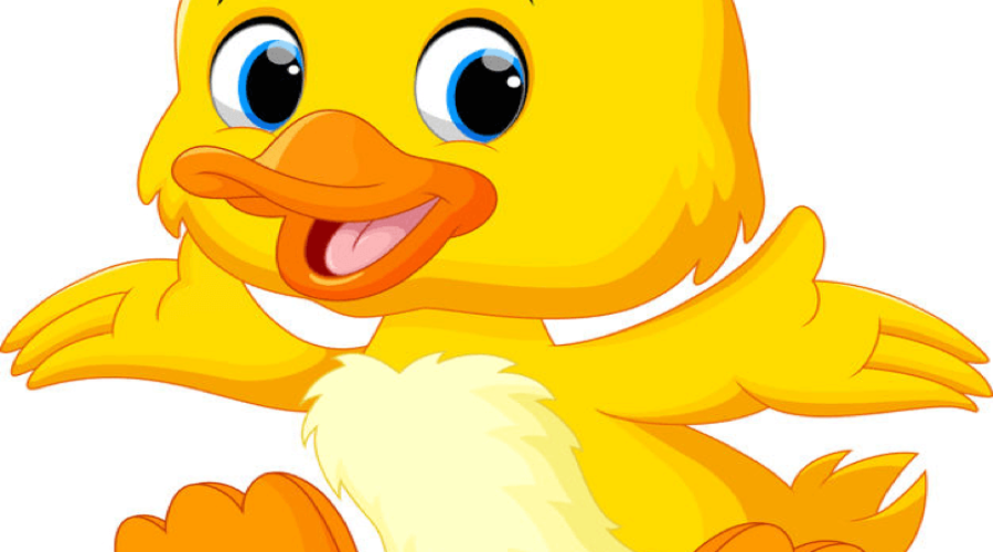 Ducky Wucky River Race