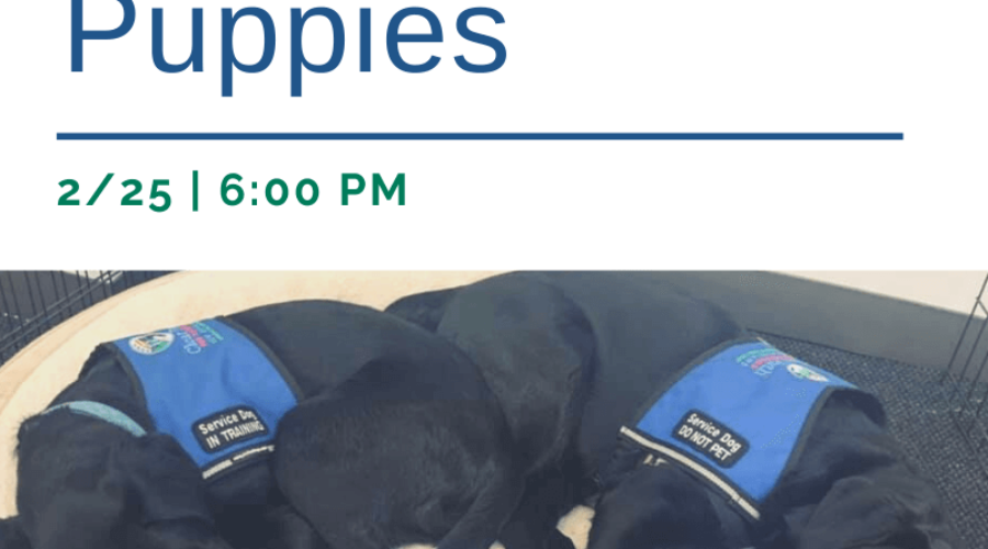 Popcorn & Puppies