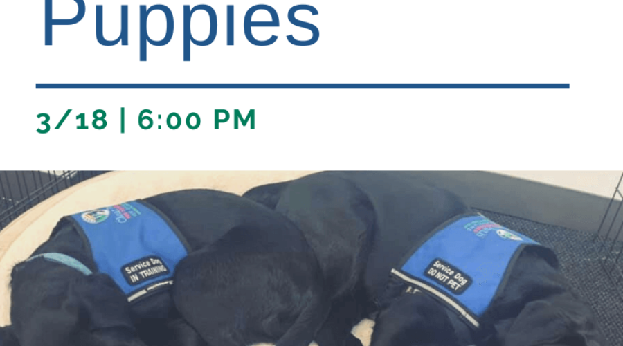 Popcorn & Puppies