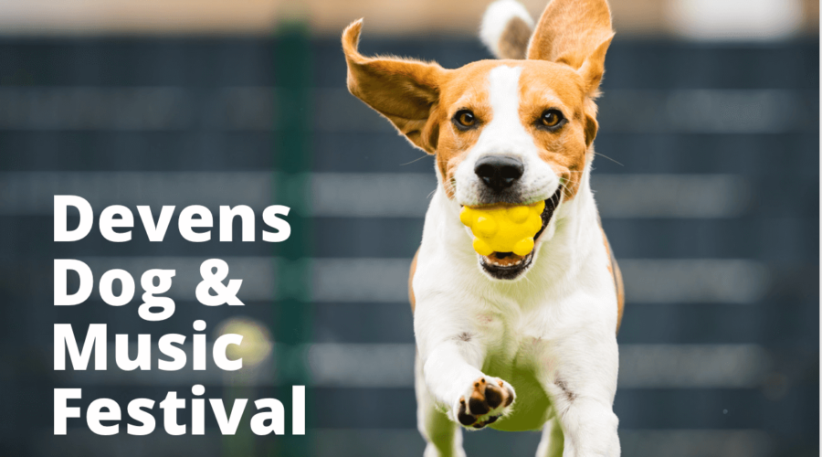 Devens Dog & Music Festival