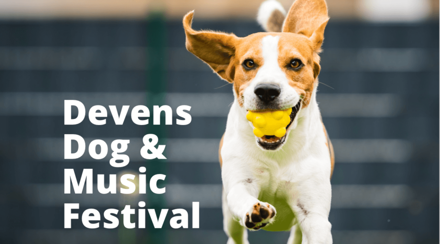 Devens Dog and Music Festival