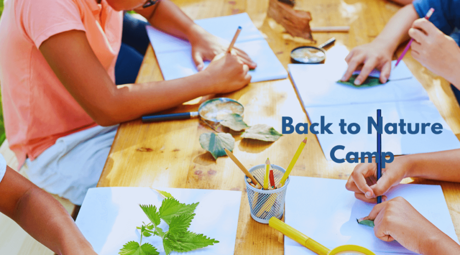 Back to Nature Kids Camp