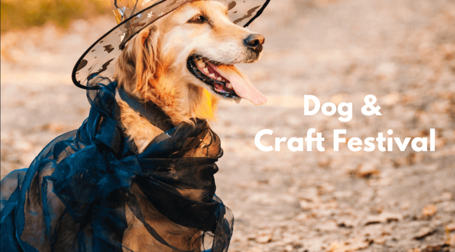 Dog and Craft Festival