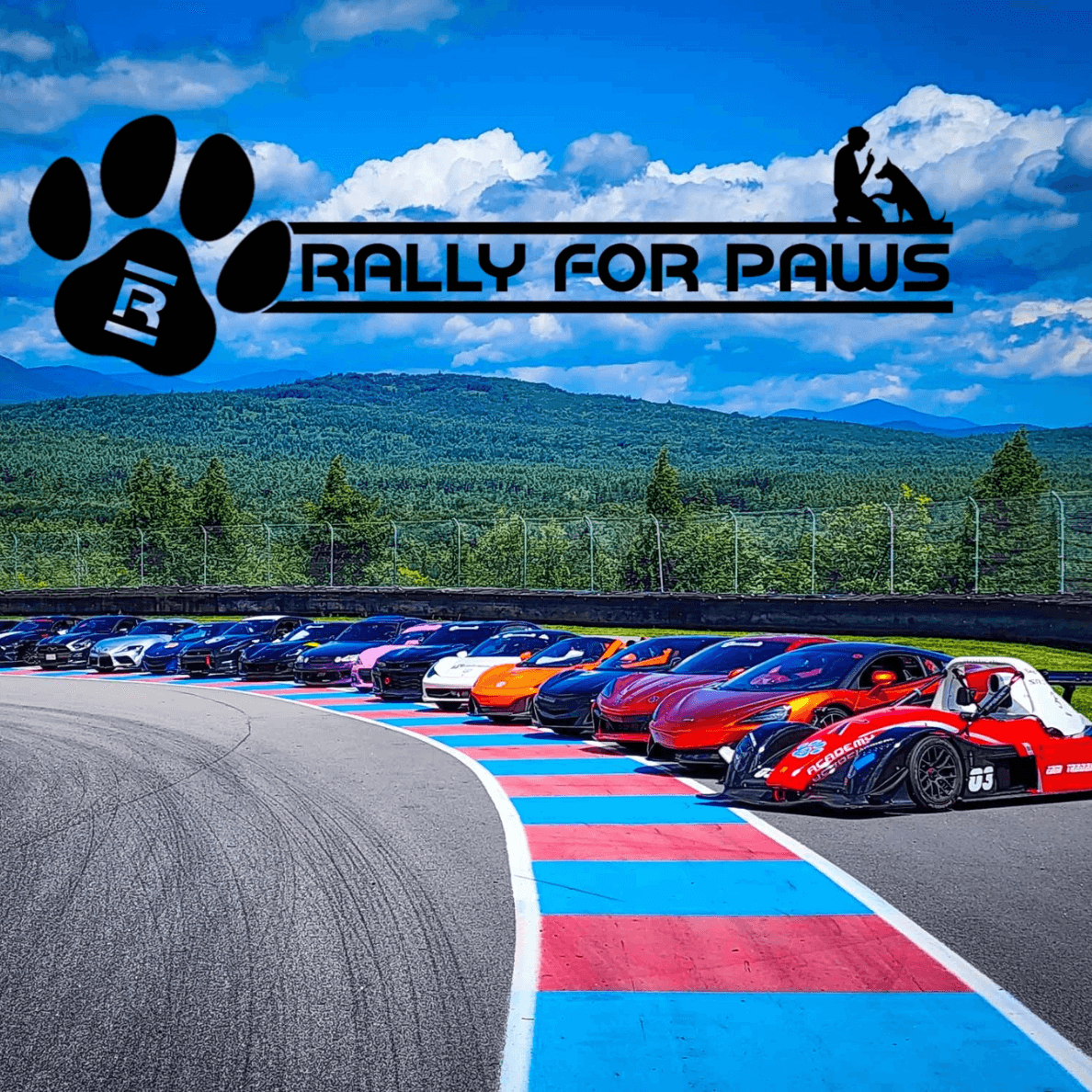 Rally For Paws Rally For Paws