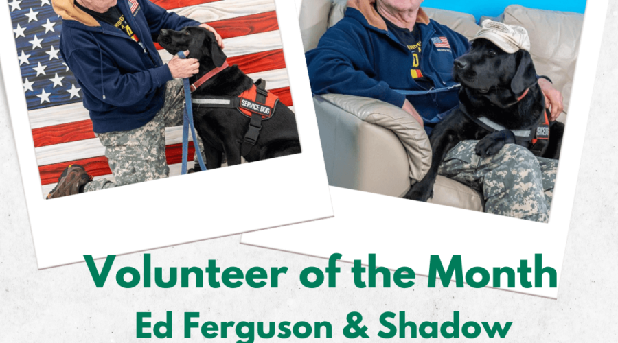 Volunteer of the Month: Ed Ferguson